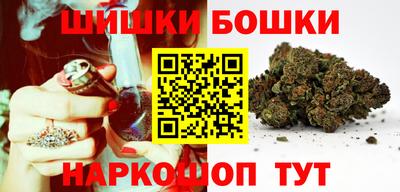 шишки Изобильный
