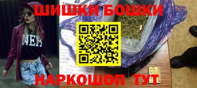 шишки Изобильный
