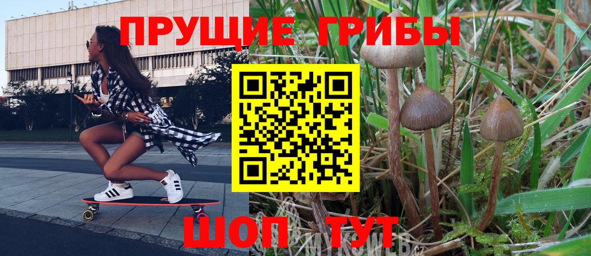 Псилоцибиновые грибы Psilocybine cubensis  Вход с VPN  Лабытнанги  Галлюциногенные грибы мицелий 