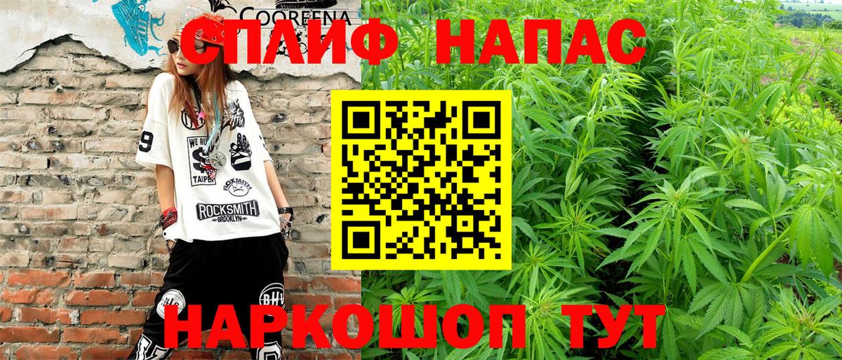 Бошки Шишки сатива Лабытнанги